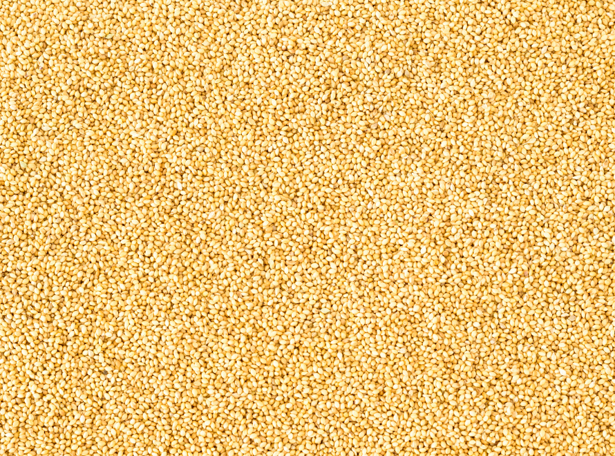 Foxtail Millet - India Origin